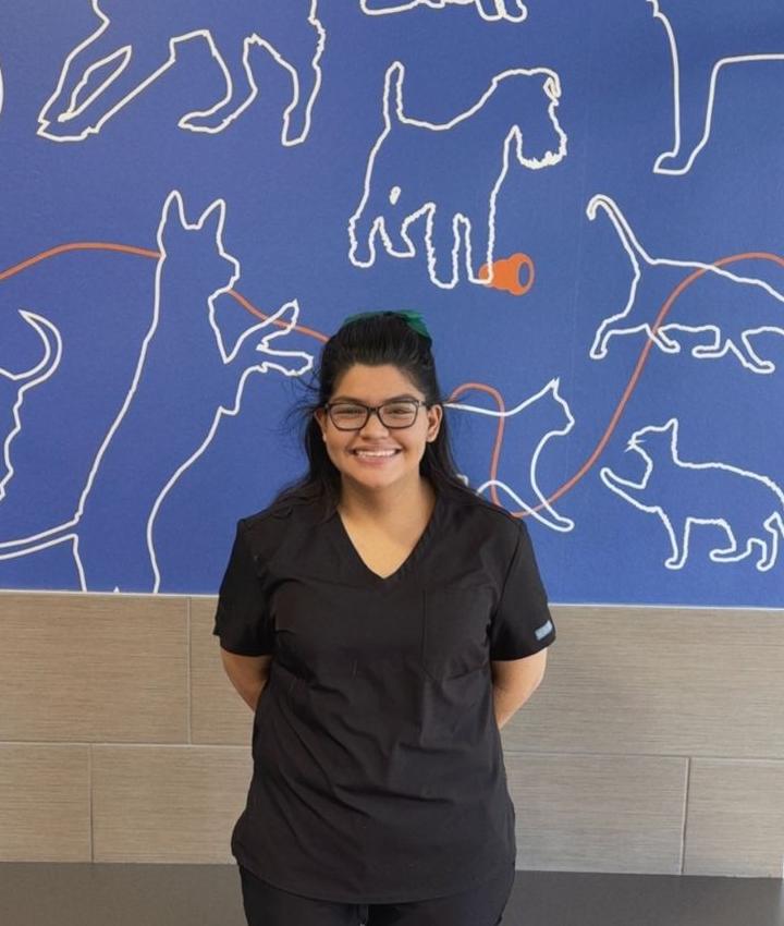 Portrait of Priscilla